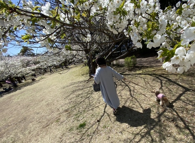 2C8CA582-108A-4A55-A3ED-9BB3E3104ACF.jpeg