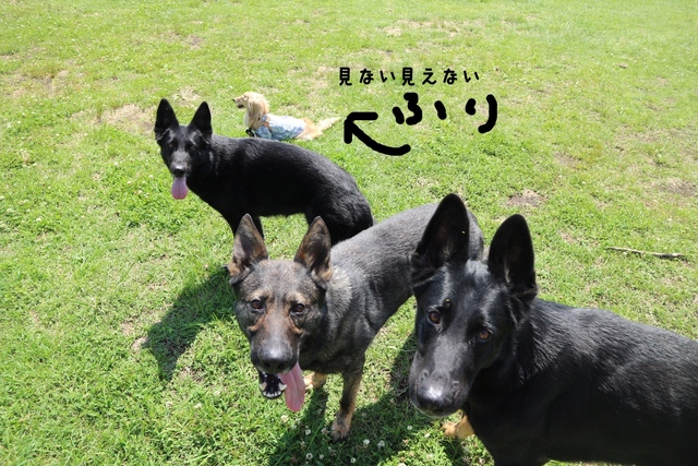 2D5E43C8-4D73-4DB6-B929-0AA3645C5D7E.jpeg