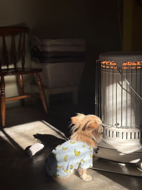 37D7A531-1E1F-4751-B1F7-0020CAD0F75B.jpeg