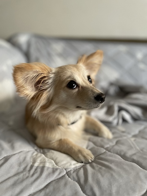 3A05DE6D-C68D-4042-B786-A913D2C80F7B.jpeg