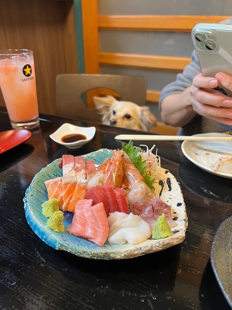 4910A23B-034E-413B-84F7-F39B57BE034E.jpeg