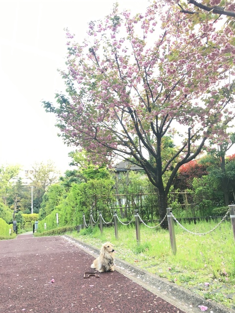 60BF8766-B099-43A9-8DC1-70AE71B64EA2.jpeg