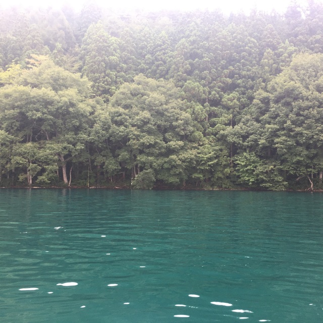 6F9237E6-D451-41E4-B2CD-E2C0AC088779.jpeg