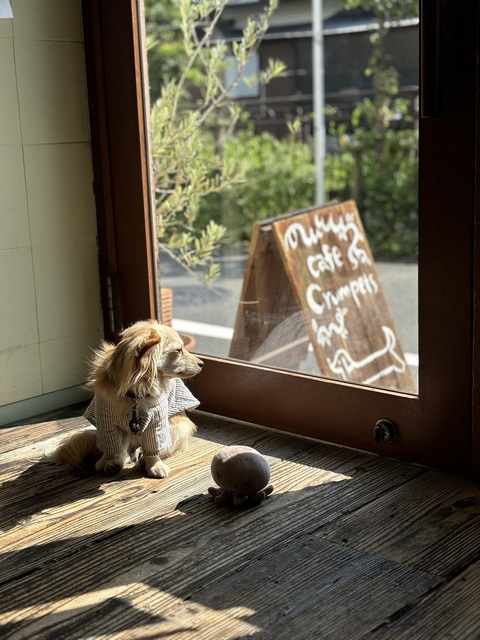 75507E57-2AB5-46F4-BADD-524CCC2665C2.jpeg