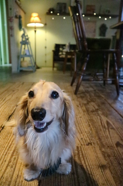 7C7D0B35-54B4-4532-B719-7EC149CA2FB2.jpeg