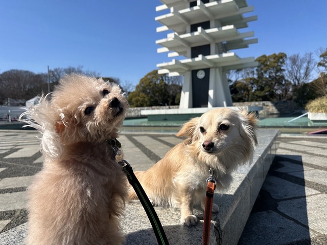 8D3F6D09-187E-4147-B0F0-F1482A425379.jpeg