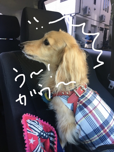ADF004B9-0892-497D-BF05-6D5B2DE8F19C.jpeg