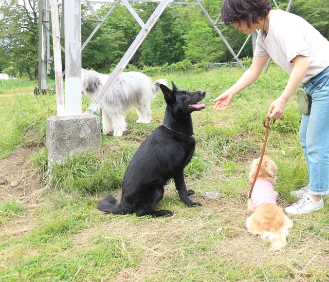 AFF9BA90-87FE-4C19-9066-3B16E816F0DF.jpeg