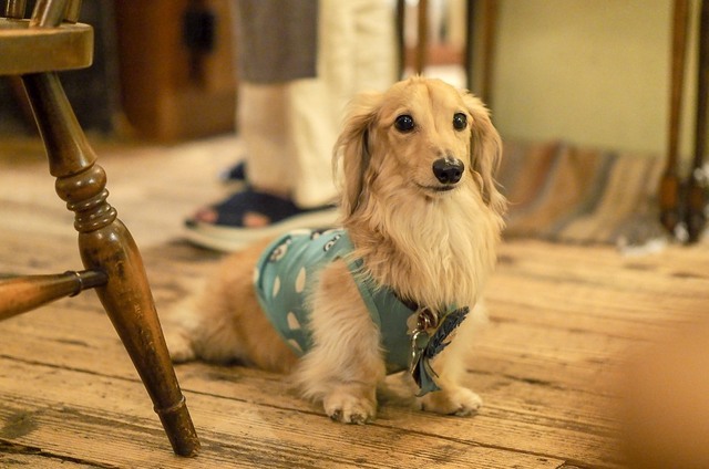 D69A0965-C7B9-4487-B264-66F0B811E703.jpeg