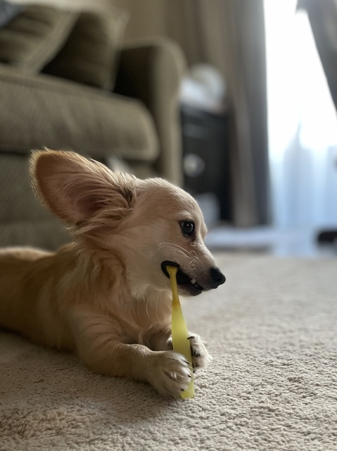 F064B078-825C-4D95-8A96-AE131077FF8F.jpeg