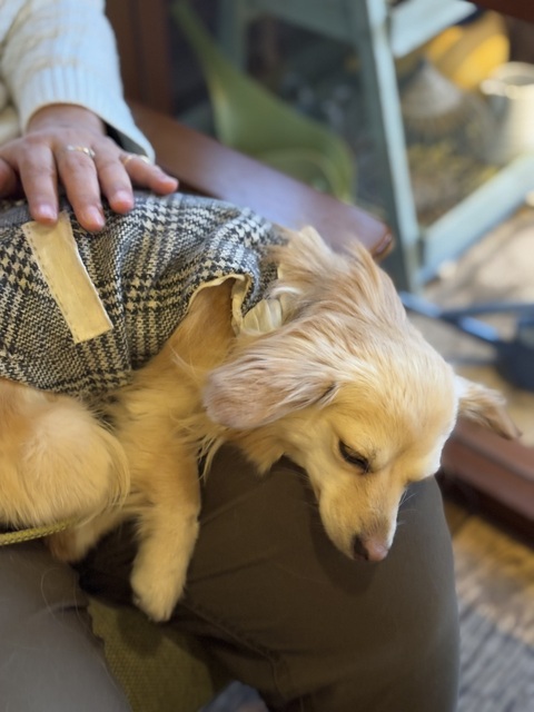 F3509364-51DA-4F98-8B9F-82D017D74E20.jpeg