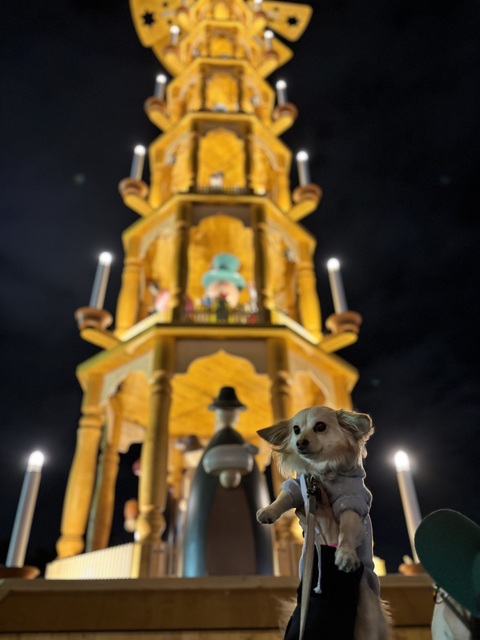 IMG_1812.jpeg