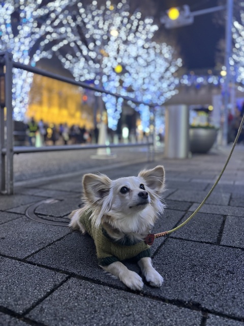 IMG_3895.jpeg