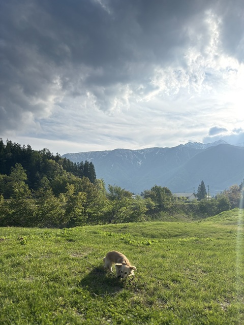 FF7BCCAF-6FF6-491F-B714-644A48E714B4.jpeg