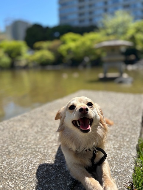 IMG_4321.jpeg